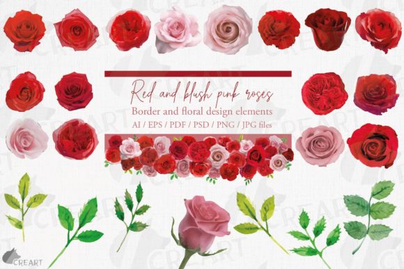Download Blush Pink and Red Watercolour Roses Art - Pink Collection