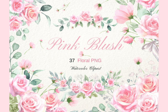 Download Watercolor Pink Blush Rose Clipart - Pink Collection