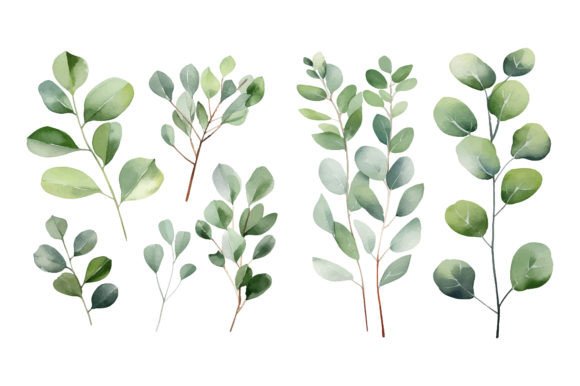 Download Baby Blue Watercolor Eucalyptus Clipart - Baby Collection